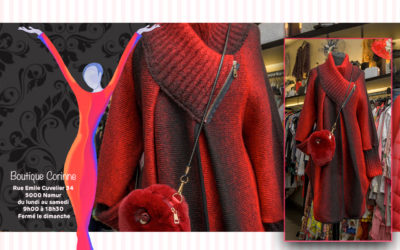 Magnifique manteau bicolore et le sac velours