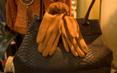 Divers accessoires à découvrir